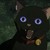 :iconbishren: