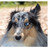 :iconbisousneige: