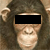 :iconbite-light: