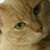:iconbitey-chan: