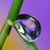 :iconbitspike: