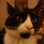:iconbitstick: