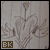 :iconbitterkisses:
