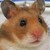 :iconbitterosweet: