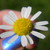 :iconbittersw33tdreams: