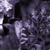:iconbittersweet-immortal: