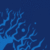 :iconbittersweet-insanity:
