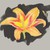 :iconbittersweet243: