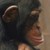 :iconbittickart64: