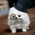 :iconbittybutloud:
