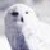 :iconbiyonoyoshii: