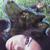 :iconbizarredreams: