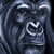 :iconbizarreshop:
