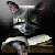 :iconbj-c-spendr: