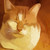 :iconbj22219: