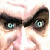 :iconbjarkeb: