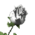 :iconbjemillerluvalvin: