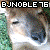 :iconbjnoble76: