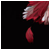 :iconbjornphoto: