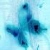 :iconblack-butterfly087: