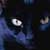 :iconblack-cat101: