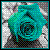 :iconblack-cross-inc: