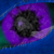 :iconBlack-Dragon0329: