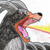 :iconblack-dragon671: