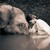 :iconblack-dust: