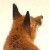 :iconblack-flute: