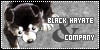 :iconblack-hayate-and-co: