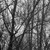 :iconblack-infinite: