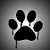 :iconblack-ink-wolf: