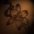 :iconblack-inspiration: