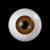 :iconblack-nicholi: