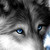 :iconblack-pelt: