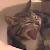 :iconblack-raine: