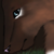 :iconblack-raven-eyes: