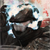 :iconblack-rock-spartan: