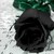 :iconblack-rose-thorn: