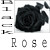 :iconblack-rose0: