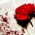 :iconblack-rosesbleed: