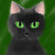 :iconblack-shooter500: