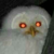:iconblack-sis: