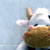 :iconblack-snowball: