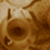 :iconblack-tie: