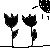 :iconblack-tulips:
