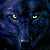 :iconblack-wolf-unhadox: