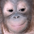:iconblack7a: