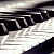 :iconblackandwhitelilly: